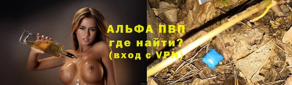 Альфа ПВП Верея