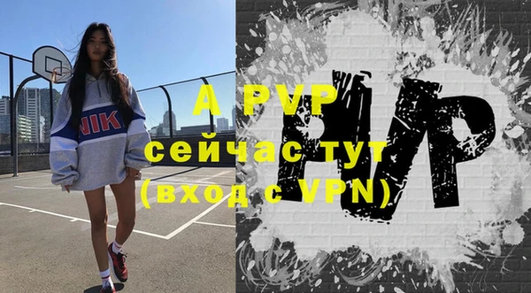 Альфа ПВП Верея