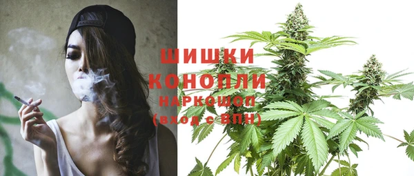 Альфа ПВП Верея