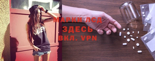 Альфа ПВП Верея