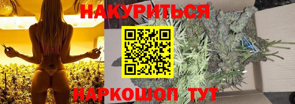 Бошки Шишки SATIVA & INDICA  Конопля конопля  Вход с VPN  Медногорск  Каннабис White Widow  МАРИХУАНА конопля 